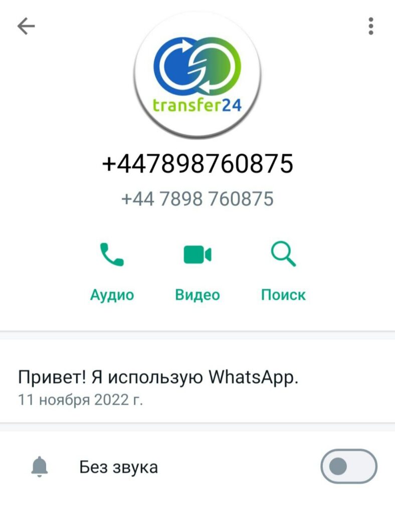 Transfer24 ват сап