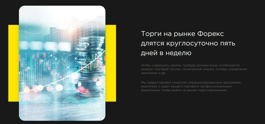 Виды торгового счета на платформе  Digital Lion ltd