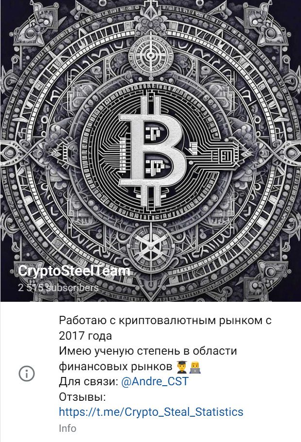 ТГ канал Crypto Steel Team