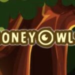 Money Owls