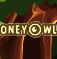 Money Owls