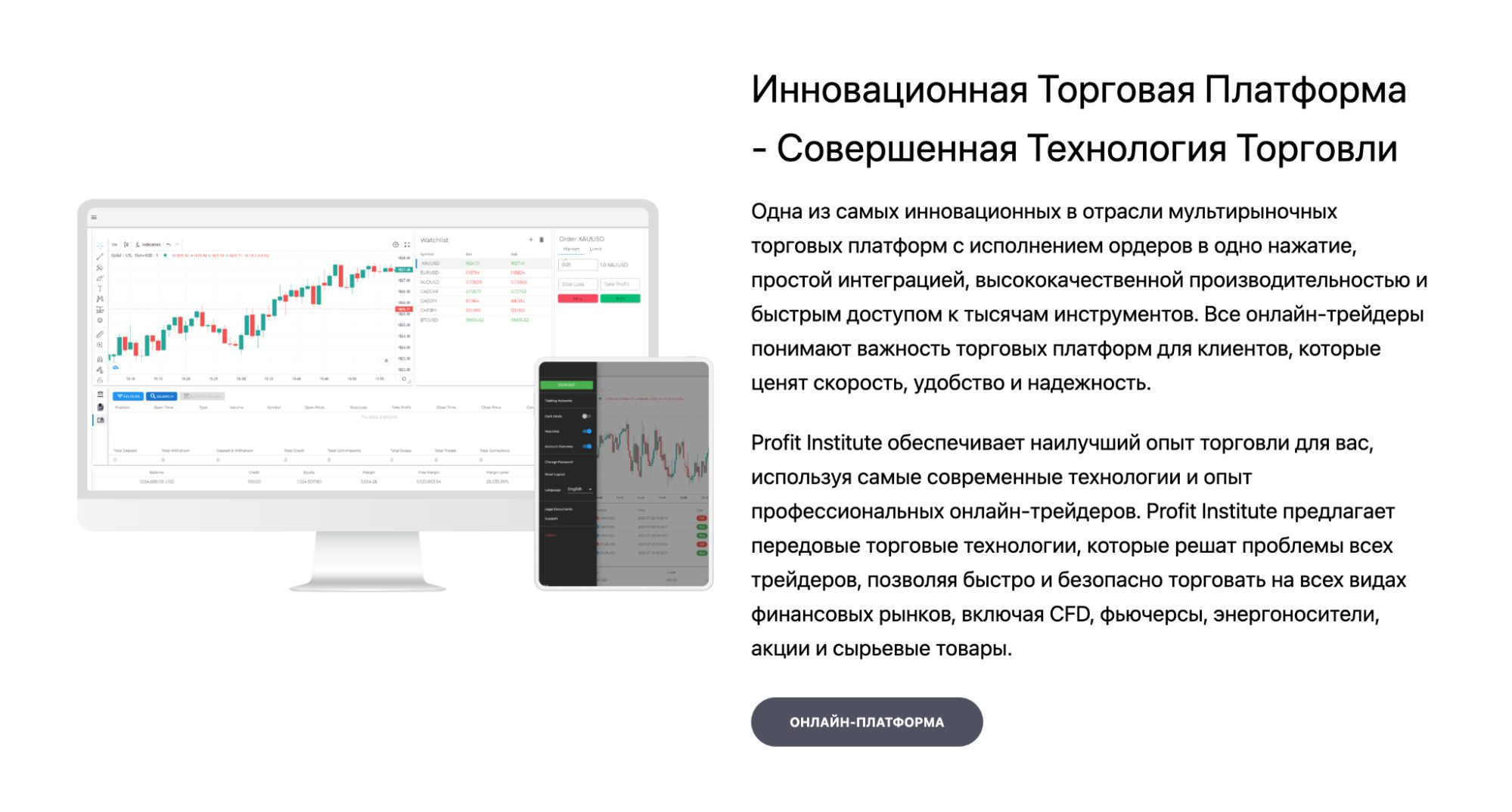 Описание платформы Институт Профит