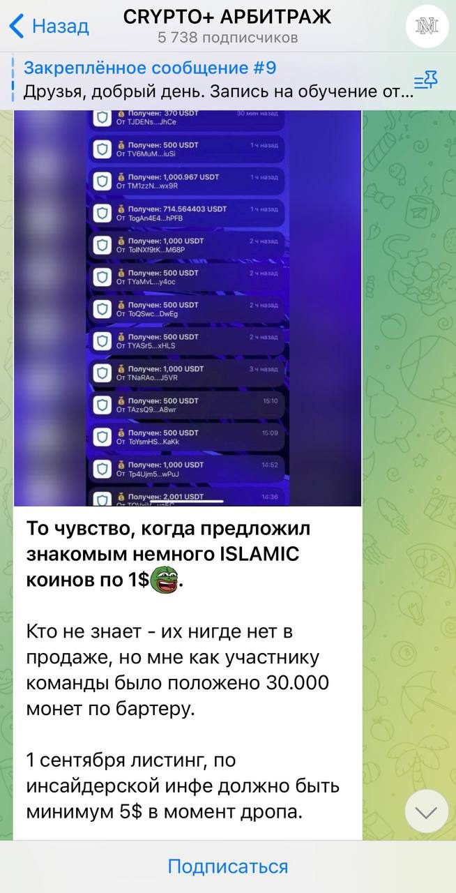 Отчет Чизина по выплатам