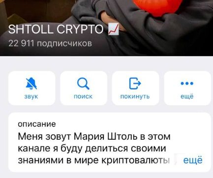 Shtoll Crypto Трейдер инфо