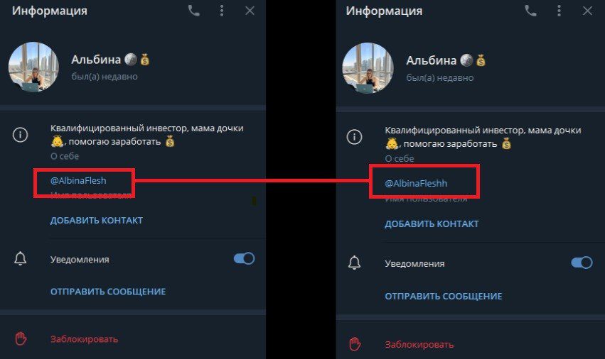 Albina Flesh телеграм