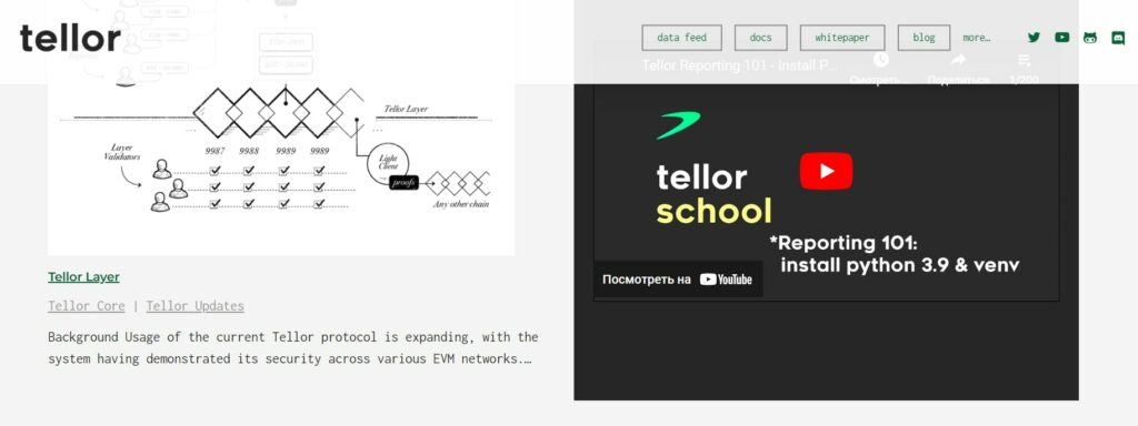 Проект Tellor