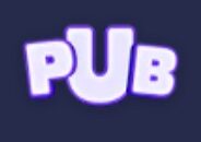 Pubgame coin