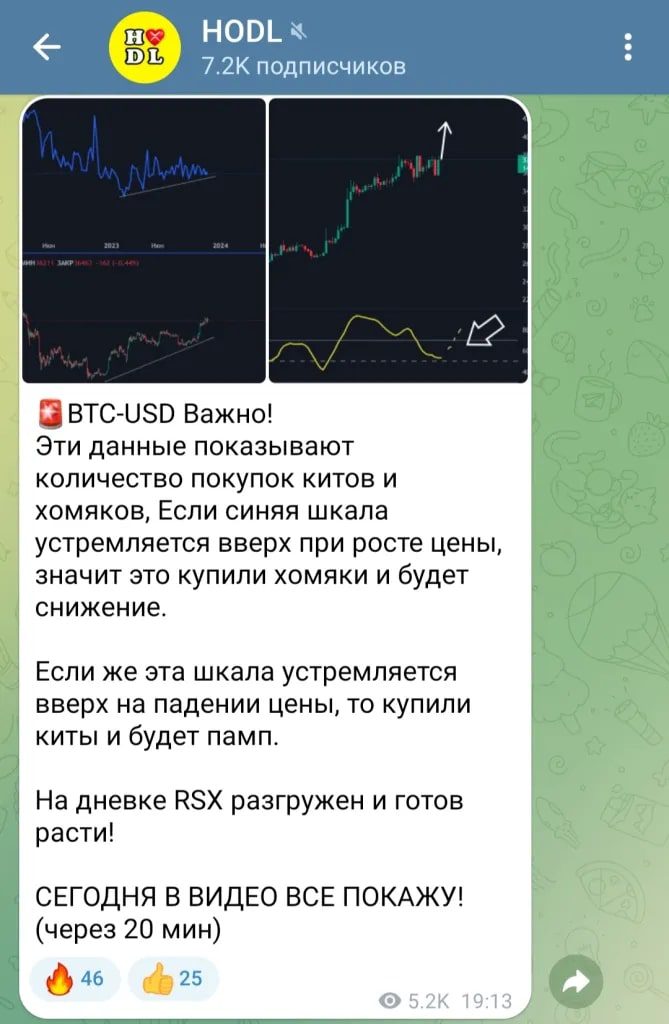 Проект Hodl