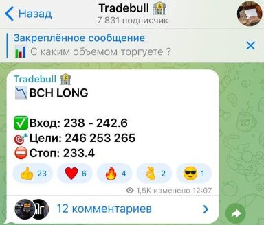 Канал Trade Bull