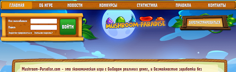 Mushroom Paradise