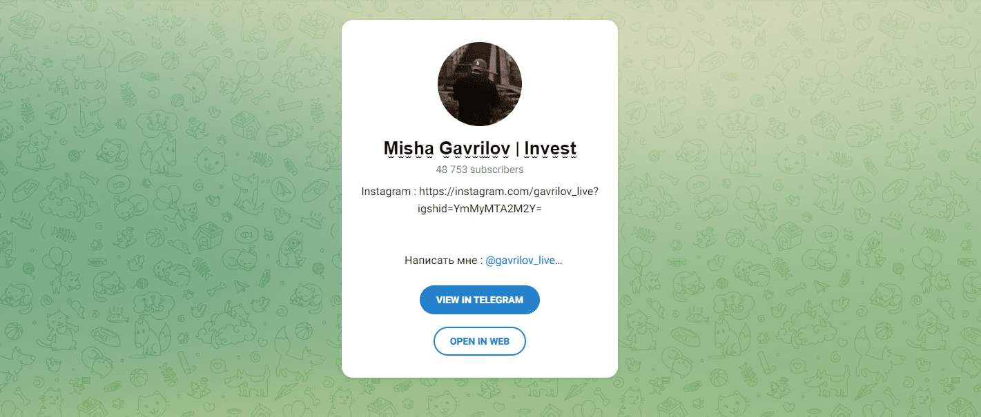 misha gavrilov invest